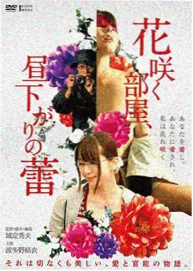 长片档案剧情长片选辑封面